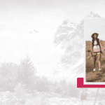 Tanner+Tailor Online Shop